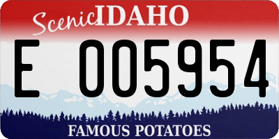 ID license plate E005954