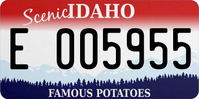 ID license plate E005955