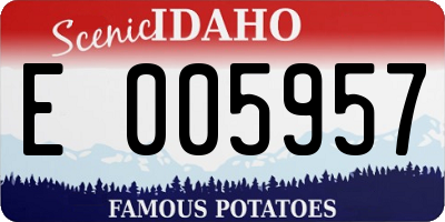 ID license plate E005957