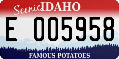 ID license plate E005958