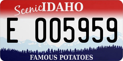 ID license plate E005959