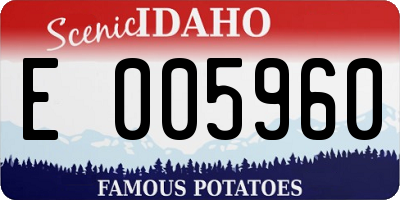 ID license plate E005960