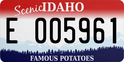 ID license plate E005961