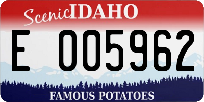 ID license plate E005962