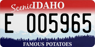 ID license plate E005965