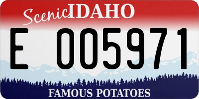 ID license plate E005971