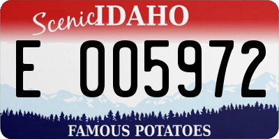 ID license plate E005972