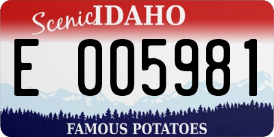 ID license plate E005981