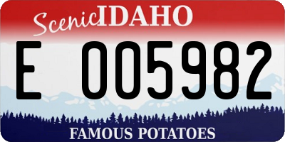 ID license plate E005982