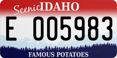 ID license plate E005983