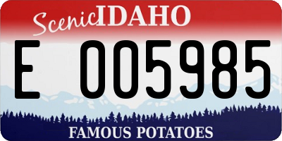 ID license plate E005985