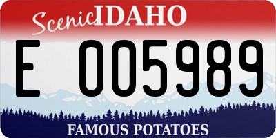 ID license plate E005989