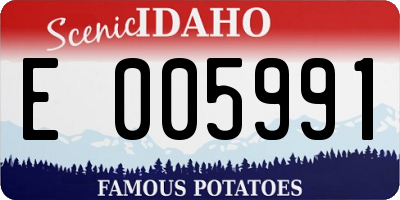 ID license plate E005991