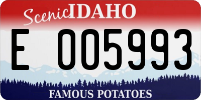 ID license plate E005993