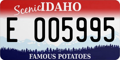 ID license plate E005995