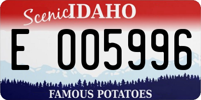 ID license plate E005996