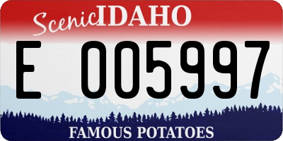 ID license plate E005997