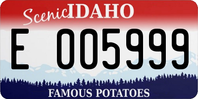 ID license plate E005999