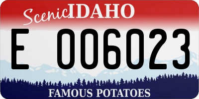 ID license plate E006023
