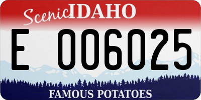 ID license plate E006025