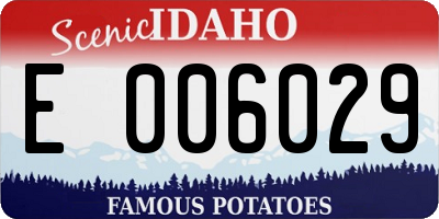 ID license plate E006029