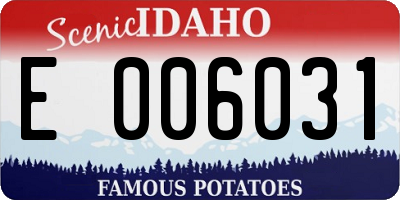 ID license plate E006031