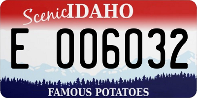 ID license plate E006032