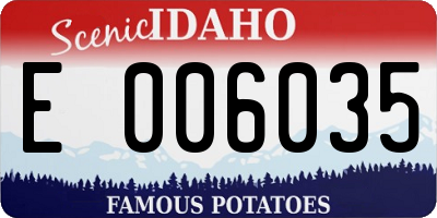 ID license plate E006035
