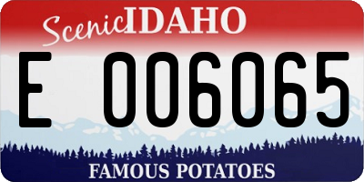 ID license plate E006065