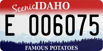 ID license plate E006075