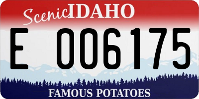 ID license plate E006175