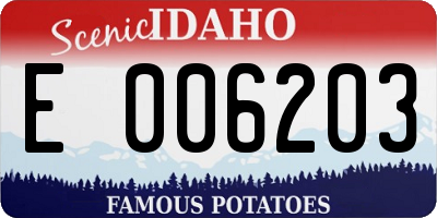 ID license plate E006203