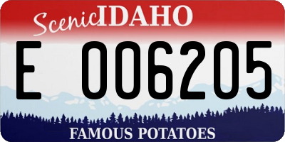 ID license plate E006205