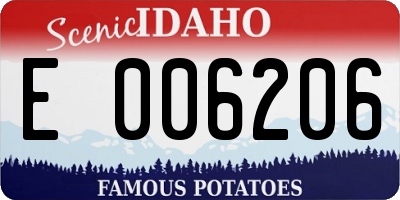 ID license plate E006206