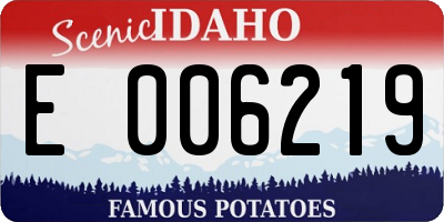 ID license plate E006219