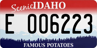 ID license plate E006223