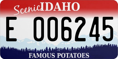 ID license plate E006245