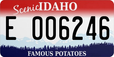 ID license plate E006246