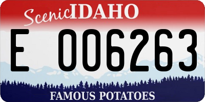 ID license plate E006263