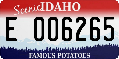 ID license plate E006265