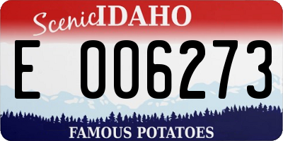 ID license plate E006273