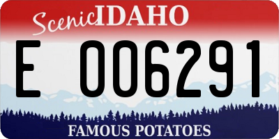 ID license plate E006291