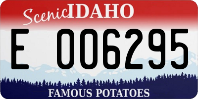 ID license plate E006295