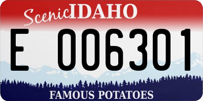 ID license plate E006301