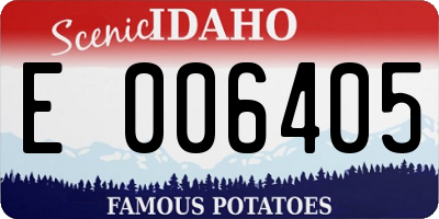 ID license plate E006405