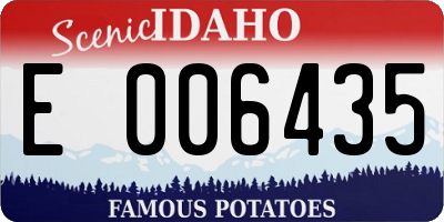 ID license plate E006435