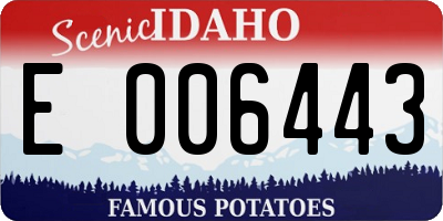 ID license plate E006443