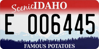 ID license plate E006445