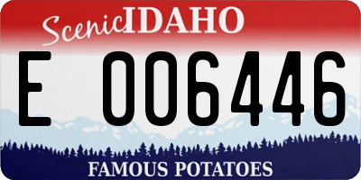 ID license plate E006446