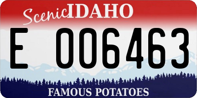 ID license plate E006463